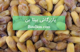 خرید خرما شاهانی