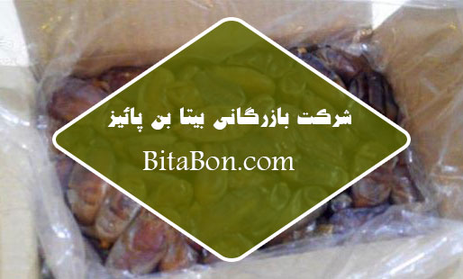 صادرات خرما شاهانی