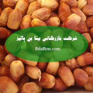 خرما زاهدی عمده