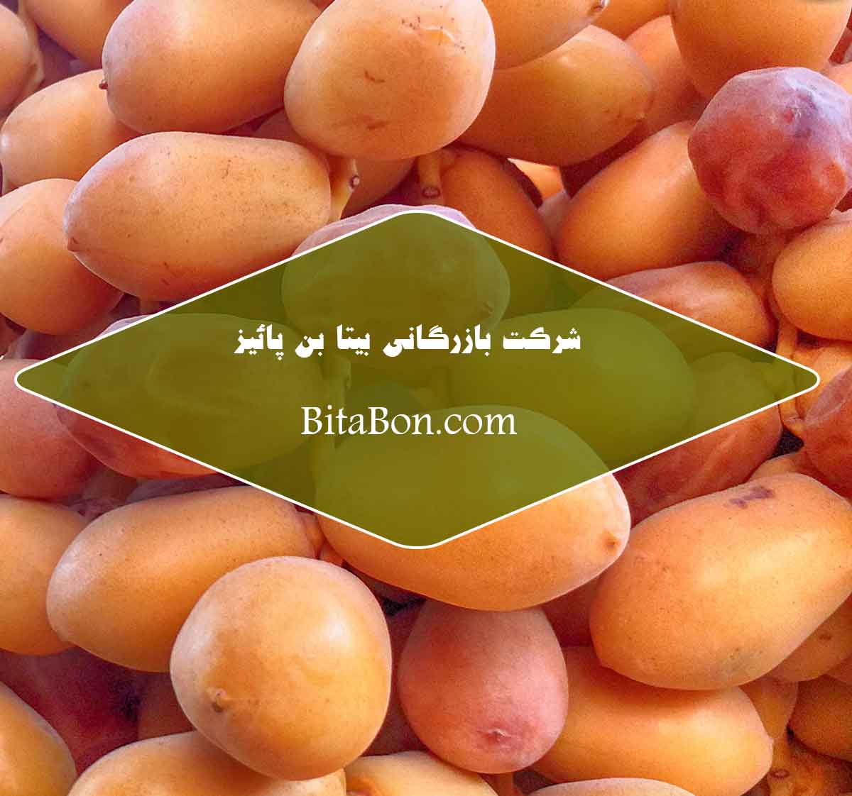 خرمای زاهدی