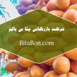 خرمای زاهدی فروش