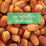 خرما زاهدی صادراتی