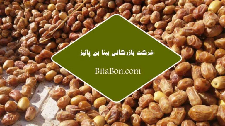 خریدار خرما زاهدی