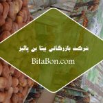 تولید خرما زاهدی