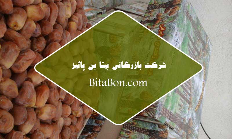 تولید خرما زاهدی