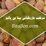 خرما زاهدی عمده