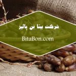 فروش خرمای شاهانی