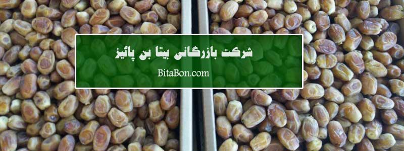 خرید و فروش خرما زاهدی