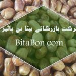 خرید و فروش خرما زاهدی