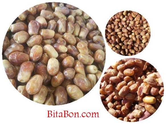 خرما زاهدی درجه 1