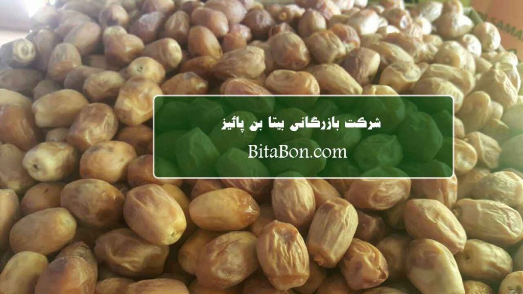 zahedi dates