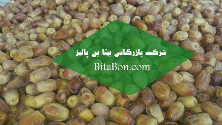 خرما زاهدی در بوشهر
